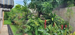 Eastern Garden (D16), Semi-Detached #450578661